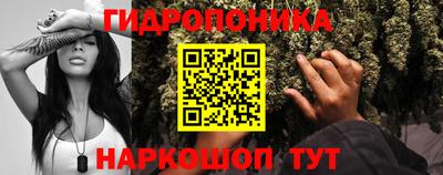 тгк Будённовск