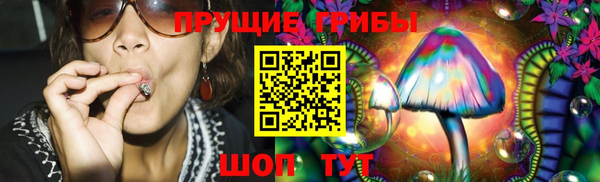 Псилоцибиновые грибы прущие грибы Кунгур